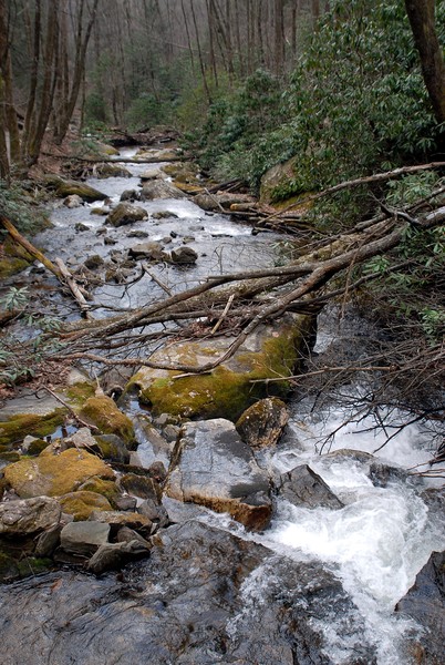 Creek Below Falls In Northern Georgia
