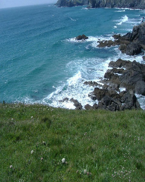 Lizard in Cornwall.