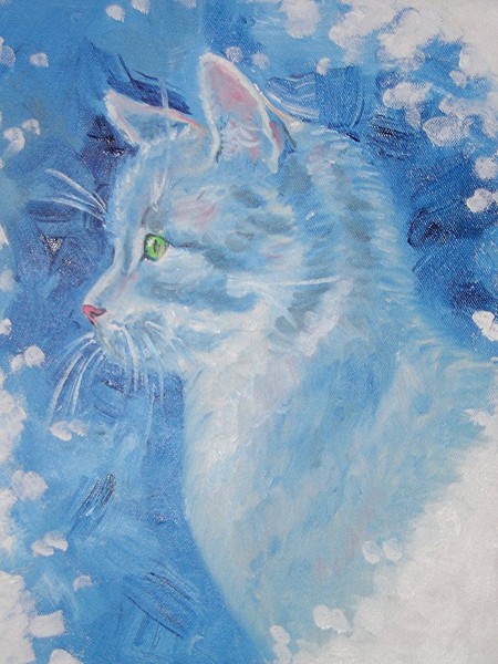 STOLEN! blue cat