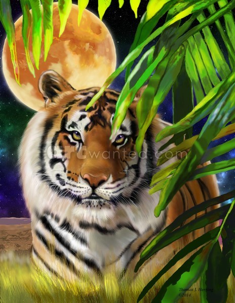 Big Cat Tiger