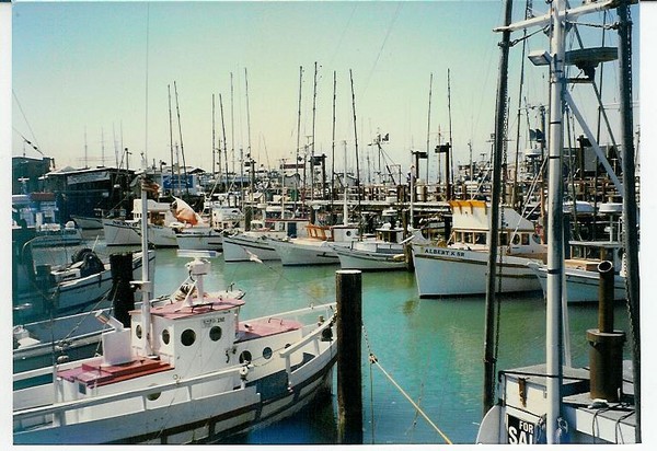 Fisherman's Wharf