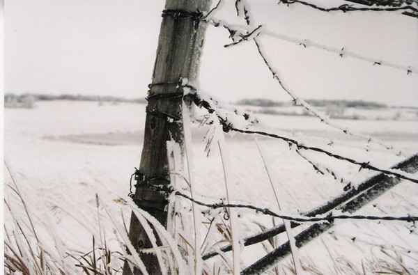 Frosty Praire Post