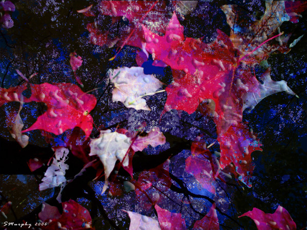 Reflections of Fall