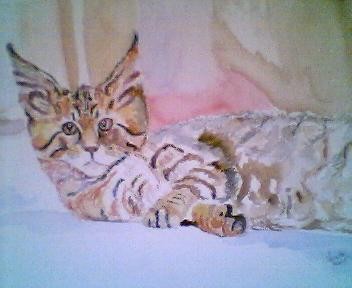 Cat with lynx ears