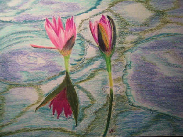 Water Lilies