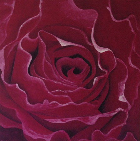 red rose 3
