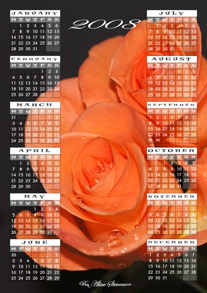 Orange Rose Calender 