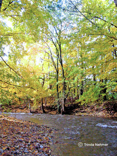 Autum River