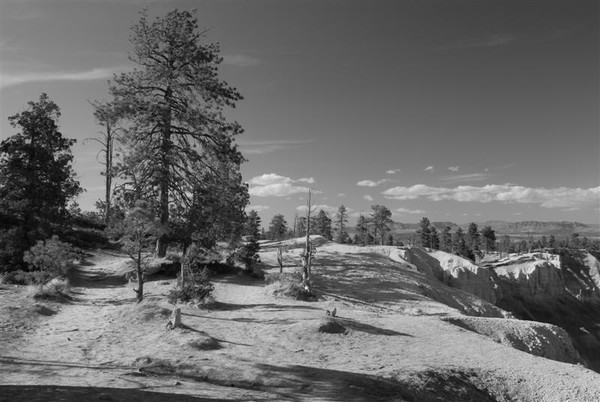 Utah-Bryce canyon