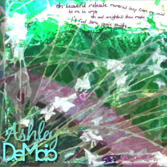 Self Promotion Piece