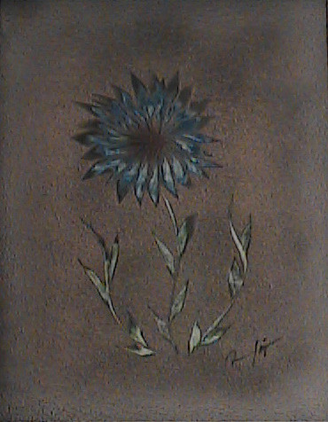blue daysie