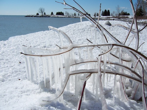 Winter landscape