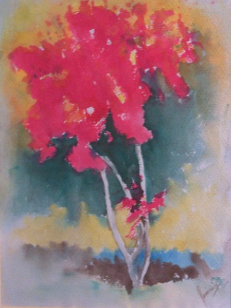 Red Flower Tree. Omaha,NE. USA