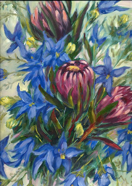 Proteas and Blue