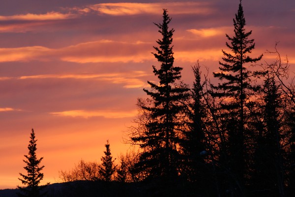 March Sunset