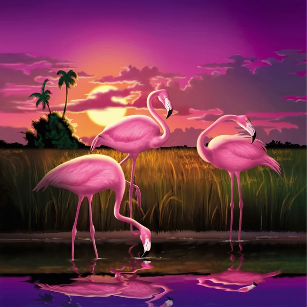 Pink Flamingos Sunset - Square Format