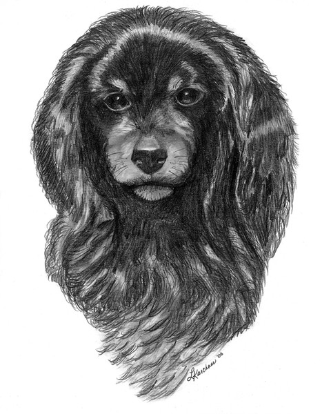 COMMISSIONED - PEE WEE THE DOG