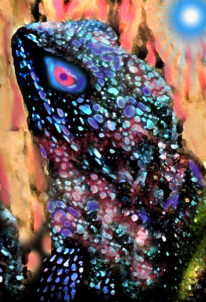 AFRICAN BLUE LIZARD