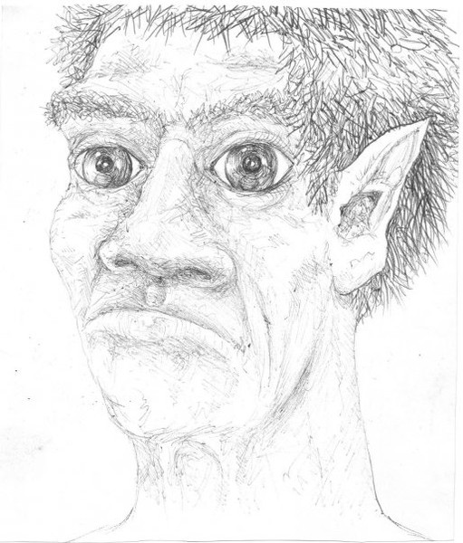 gnome troll