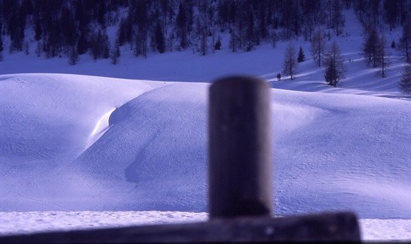 neve,2006