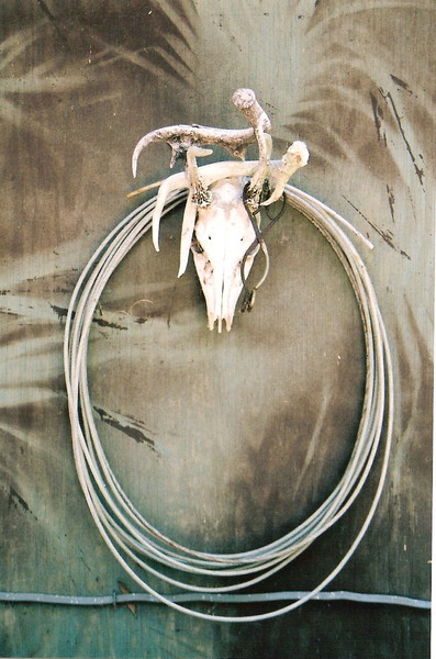 southern ways