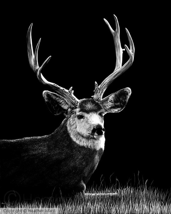 The Buck Stops Here