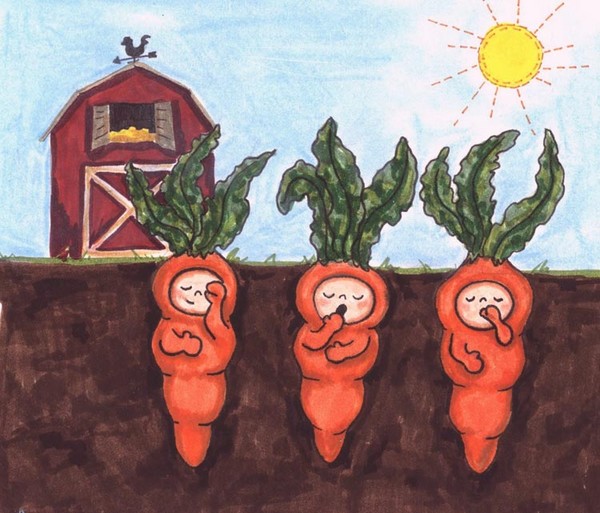 Sleepy Baby Carrots