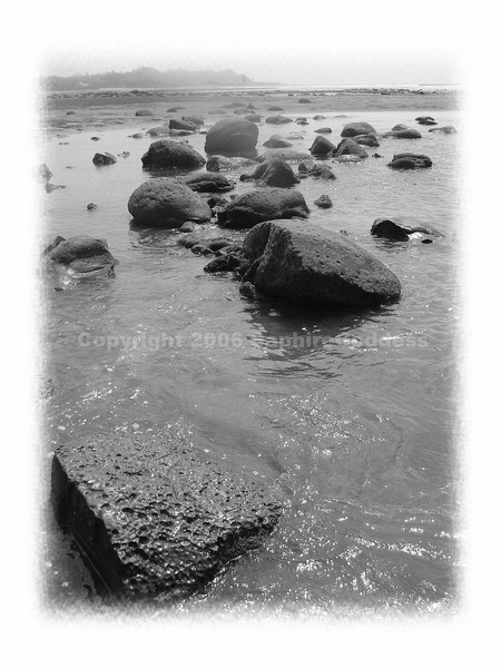 Waves of Silence