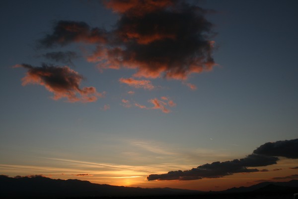 Crocodile Sunset (up close)