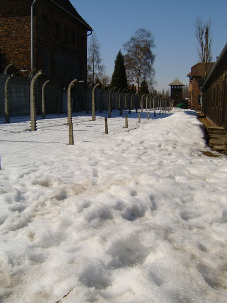 Auschwitz Snow