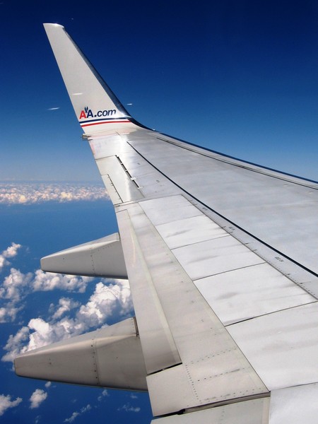 Winging It