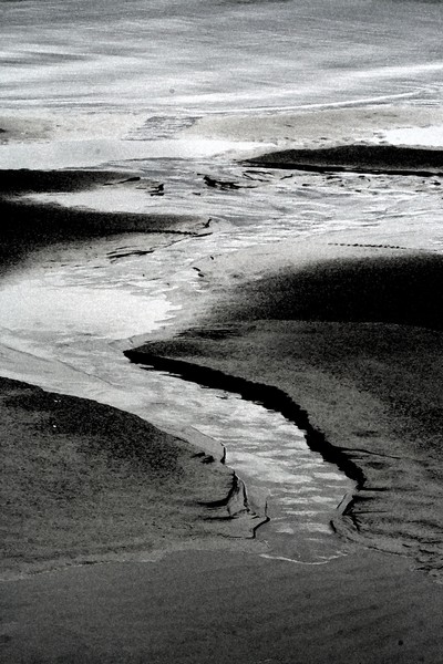 On the Beach II