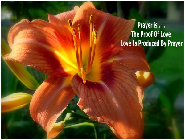 Prayerlessness Is The Epitome Of Selfishness