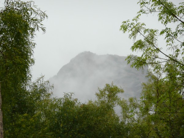 Nature's Beauty