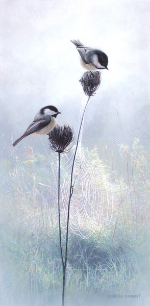 Enchanted Meadow