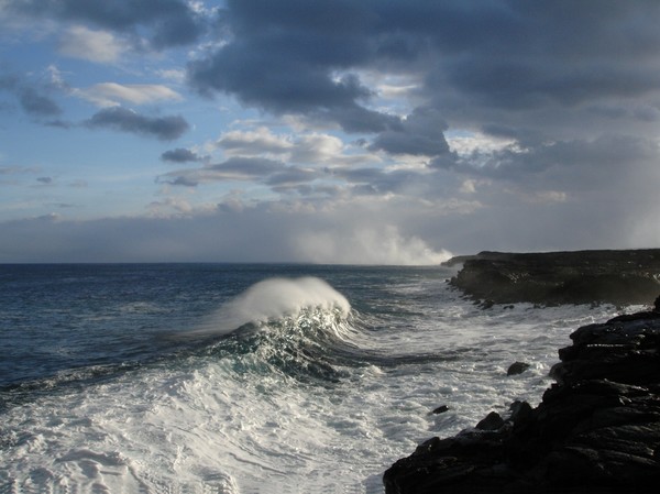 Pandemonium At The Ocean Entry