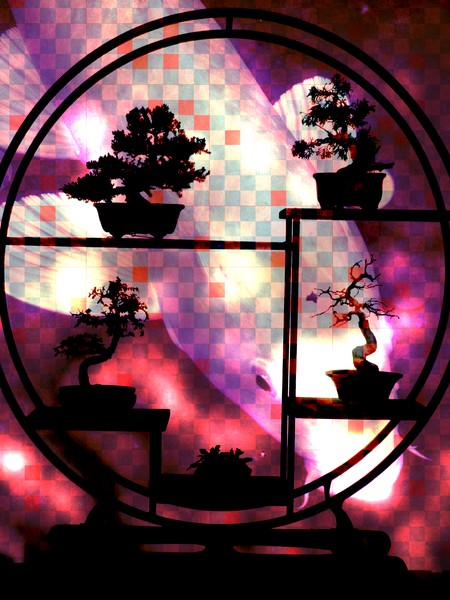 Koi Screen