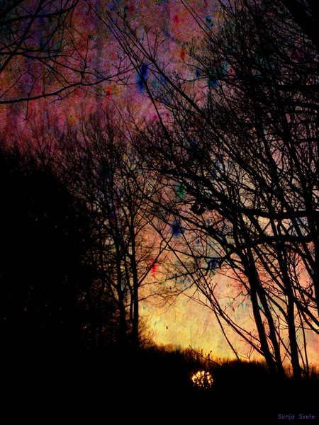 Sunset Magic