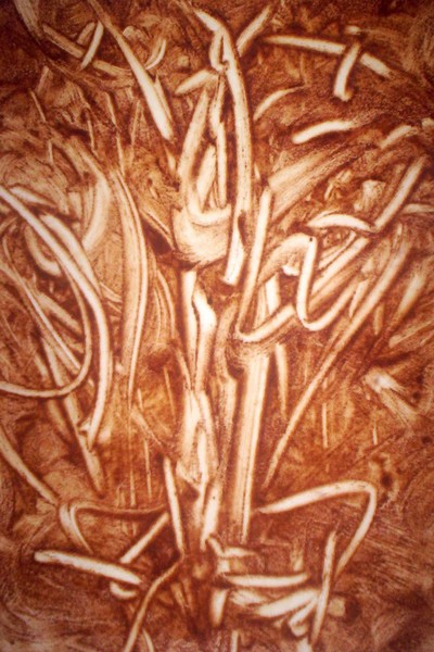 Fine cinnamon art