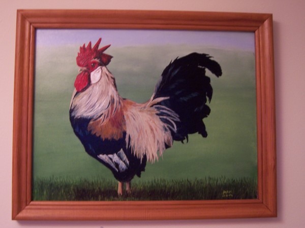 Cockerel