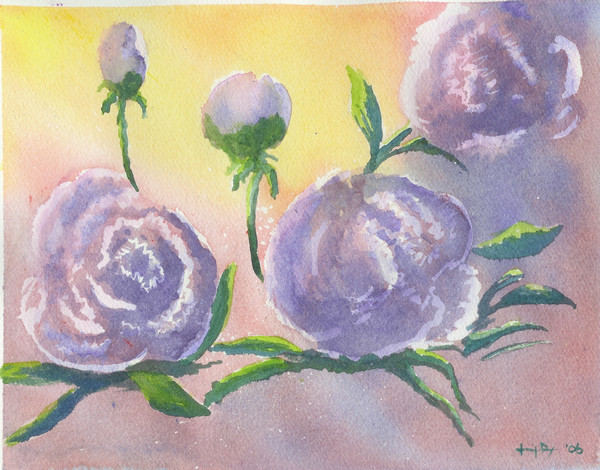 Peonies