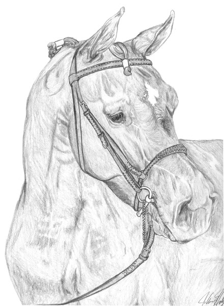 eq art project