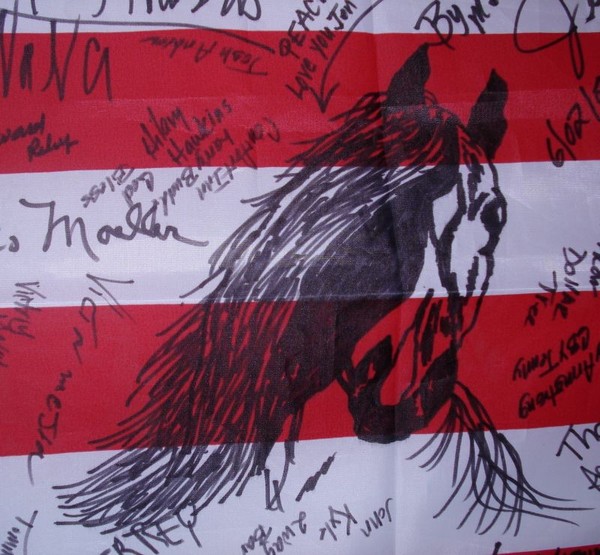 American Flag From Iraq SQ