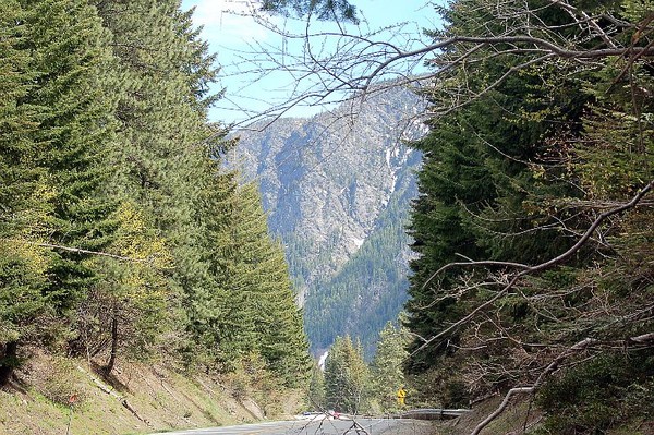 mountain view