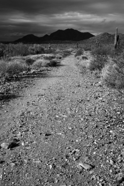 Lost