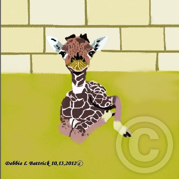 Baby Giraffe 