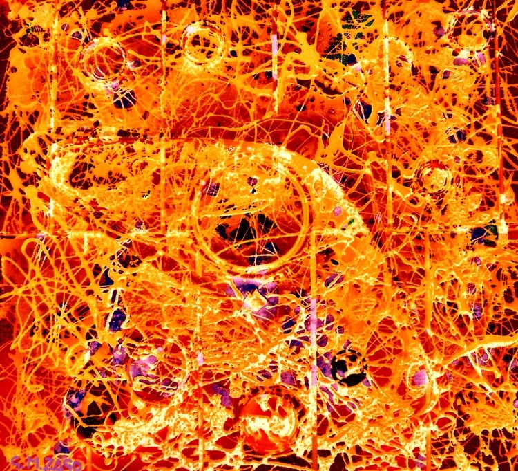   -SOLARIS cm 50x50 print on canvas 2020