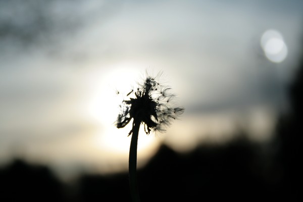 one last breath