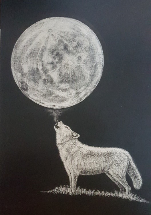 20191020 151652