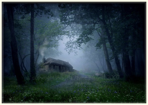 Cottage in the Woods